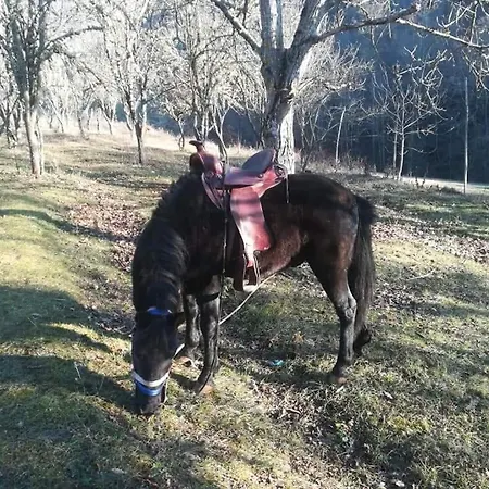Hotel Etno Selo Jefimija, Selo Preobrazenje,