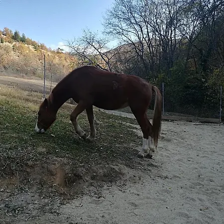 Etno Selo Jefimija, Selo Preobrazenje, * ヴラニェ