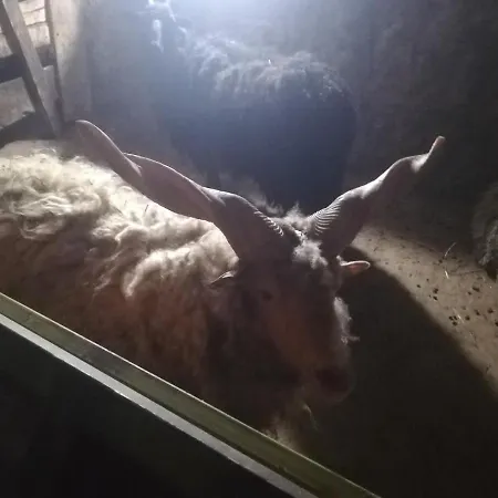 Etno Selo Jefimija, Selo Preobrazenje, *