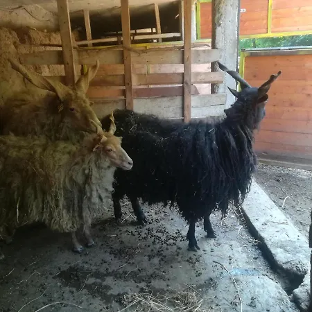 Hotel Etno Selo Jefimija, Selo Preobrazenje, Vranje