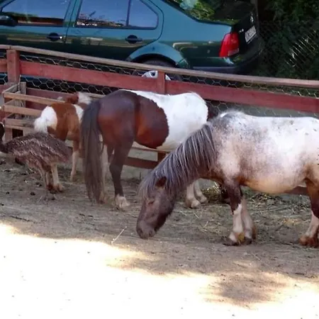 Etno Selo Jefimija, Selo Preobrazenje, * Vranje