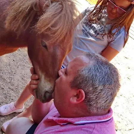 Etno Selo Jefimija, Selo Preobrazenje, ホテル *