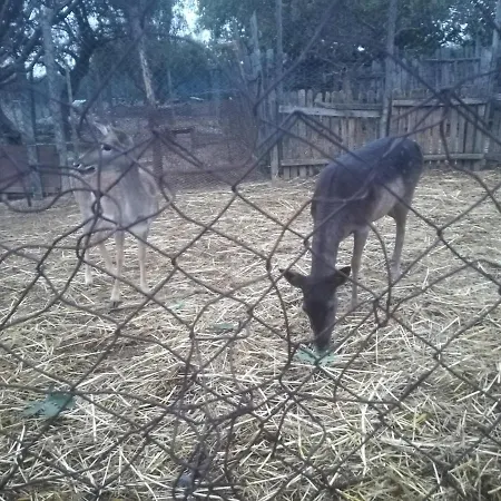 Etno Selo Jefimija, Selo Preobrazenje, ホテル