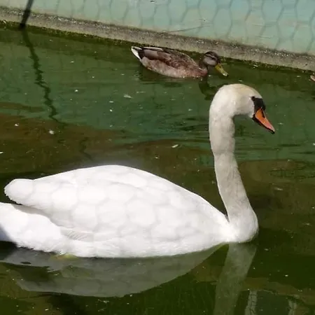 Etno Selo Jefimija, Selo Preobrazenje, *