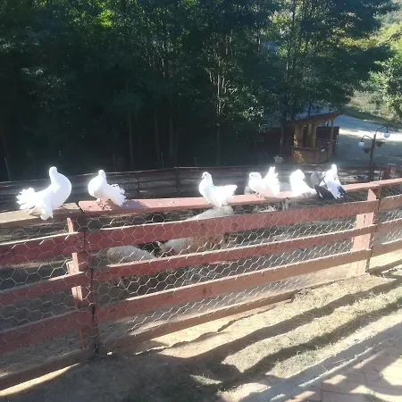 Etno Selo Jefimija, Selo Preobrazenje, *