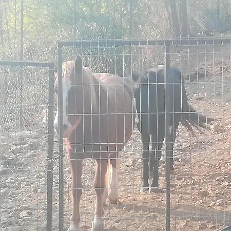 Etno Selo Jefimija, Selo Preobrazenje, * ヴラニェ