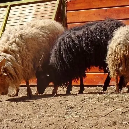 Etno Selo Jefimija, Selo Preobrazenje, Otel